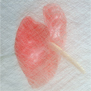 ガラスティッシュ1枚入り